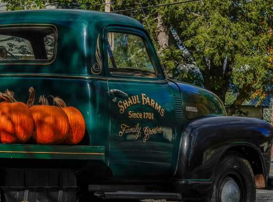Shaul Farms, Middleburgh page