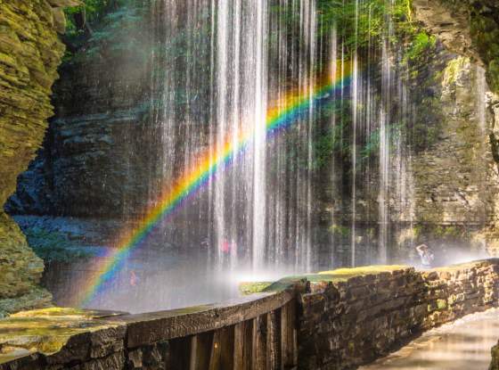Watkins Glen State Park page