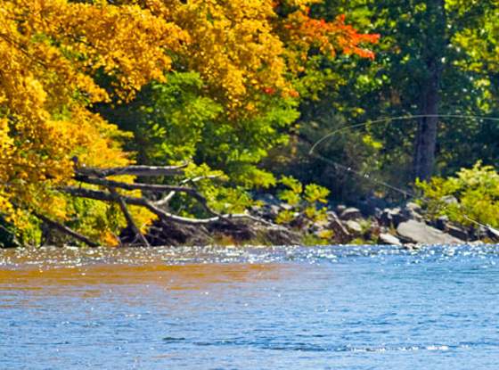 Fly Fishing - Catskills page