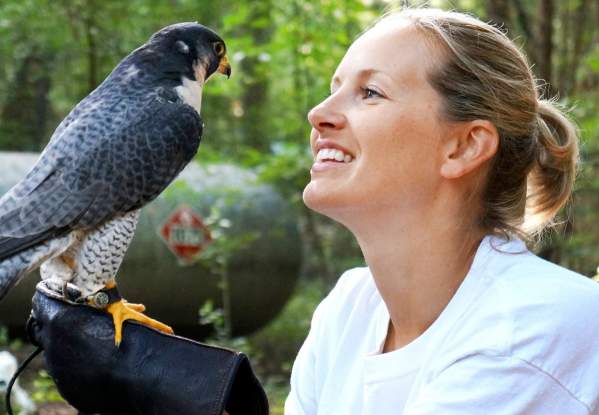Carolina Raptor Center