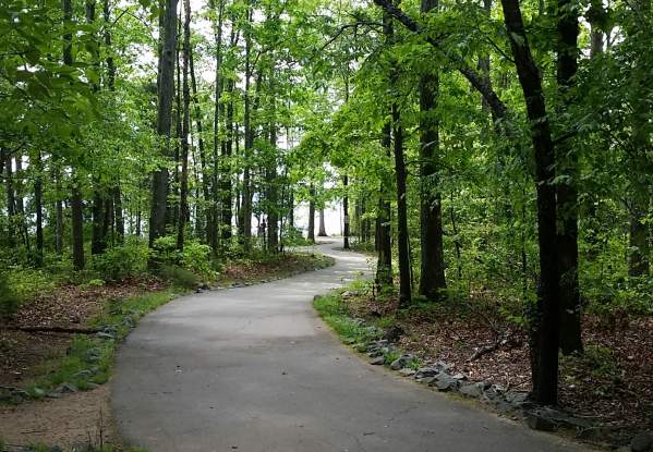 Jetton Park Trail Forest Recap (Cyndi)