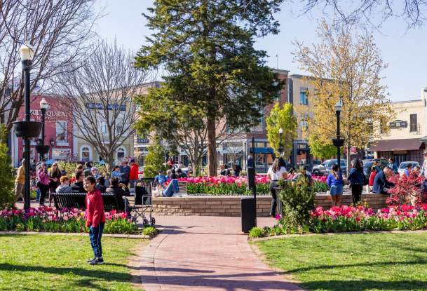 2025 Bentonville Spring Visit Guide