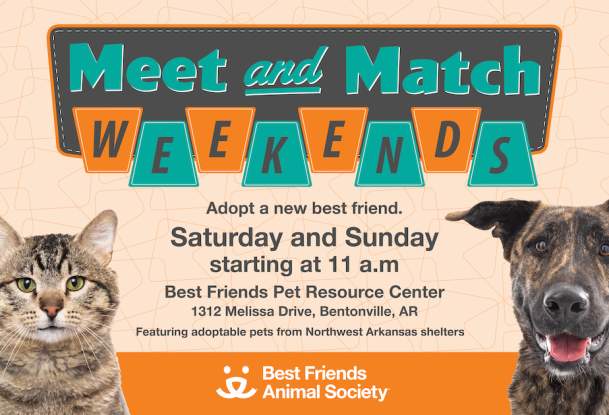 Meet & Match Weekends