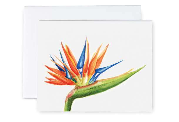 Art by the Glass: Watercolor Botanicals