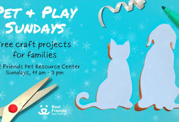Pet & Play Sundays