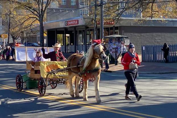 Festive Holiday Events in Chapel Hill & Orange County, NC