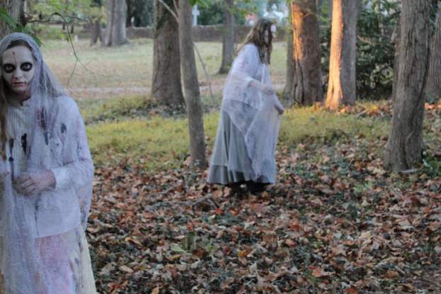 Where the Spirits Roam: Haunts, Happenings, & Halloween Cheer
