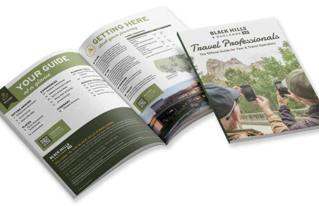 Travel professional guide