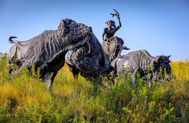 Tatanka Story of the Bison