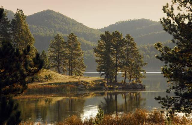 Stockade Lake Custer State Park