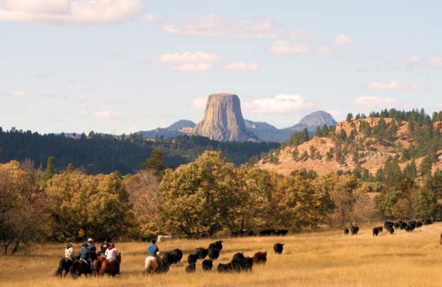 Devils-Tower
