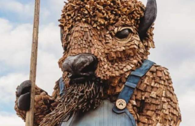 Bearded Buffalo Resort