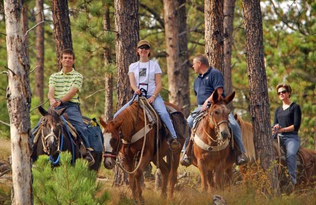 Trail Rides at Blue Bell Stables