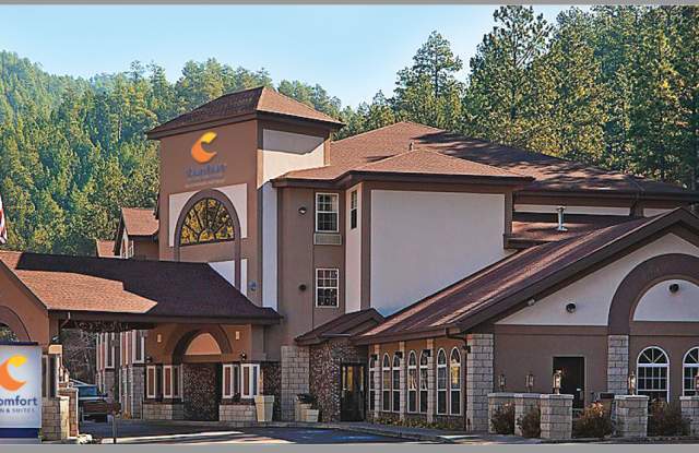 Comfort Inn & Suites - Mt. Rushmore