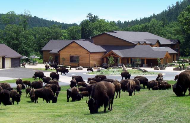 Creekside Lodge