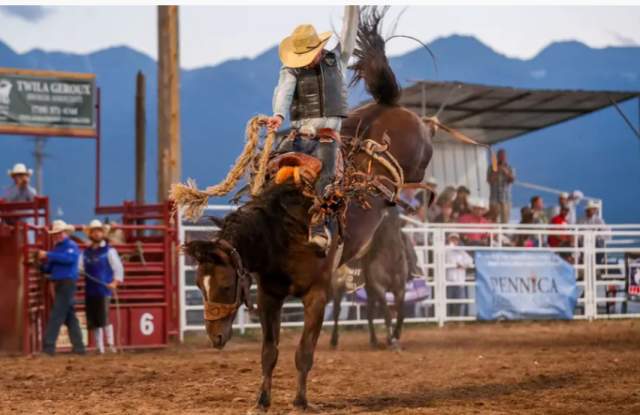 Kadoka Buffalo Stampede
