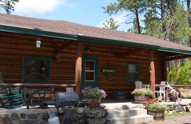 Silver Mountain Resort & Cabins