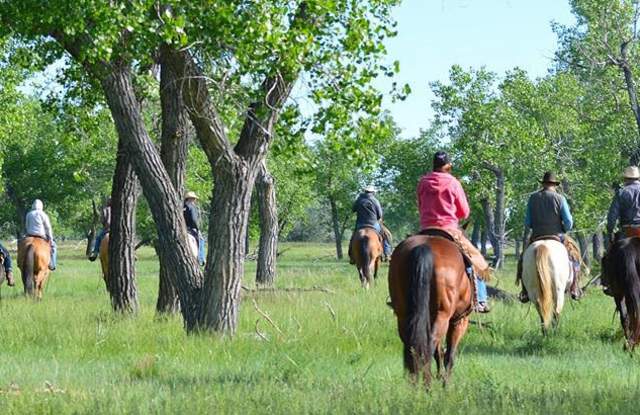 Home Ranch, LLC