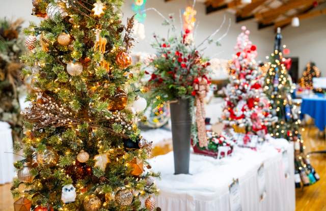 Festival of Trees in Downtown Spearfish