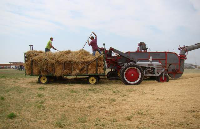 Black Hills Threshing Bee