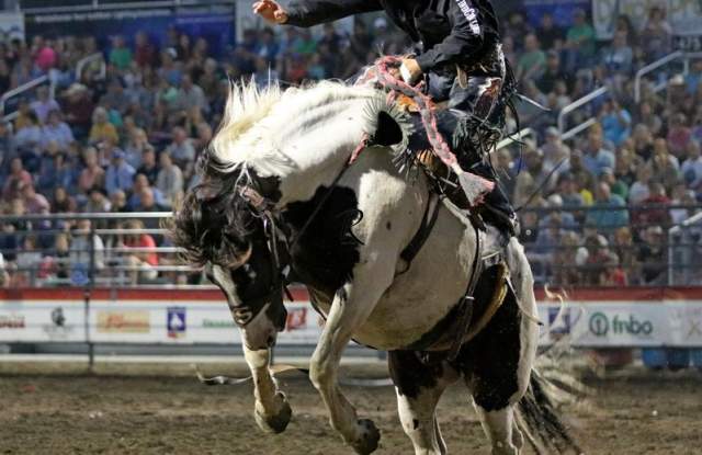 Corn Palace Stampede
