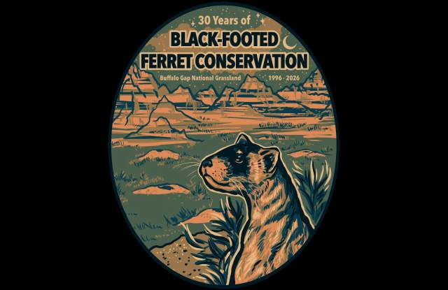 Black-footed Ferret: 30 Years of Conservation Celebration