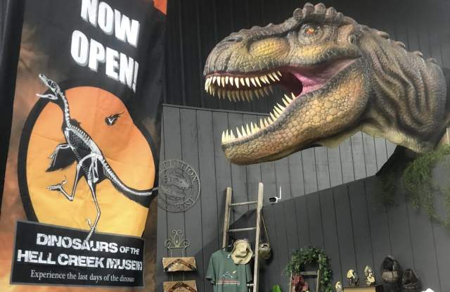 Grand Opening Weekend Celebration