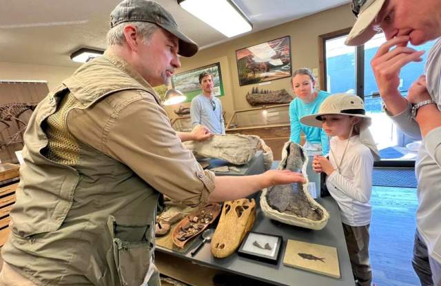 Dinosaurs of the Hell Creek Museum