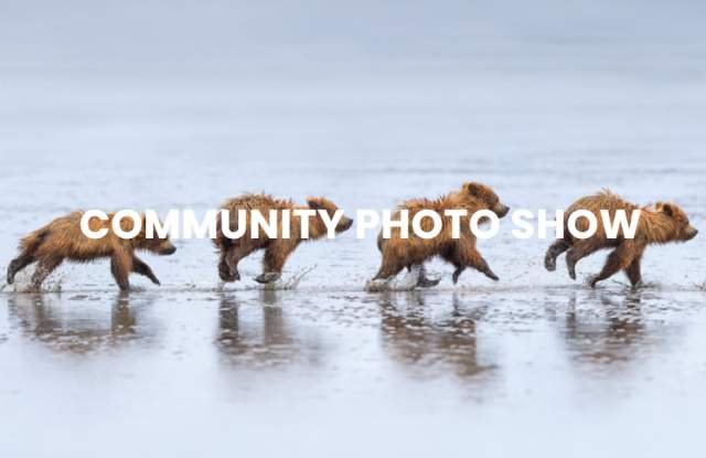 Community Photo Show: Home in Focus