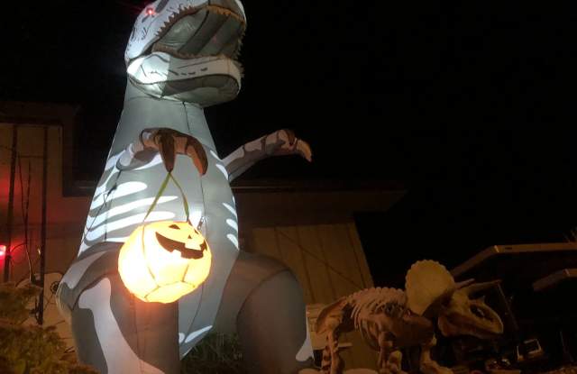 Haunted Nights at the Museum