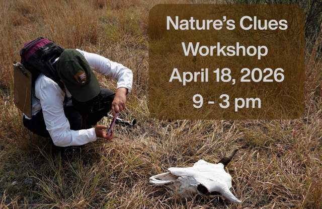 Nature’s Clues: A Workshop in Animal Tracking and Signs