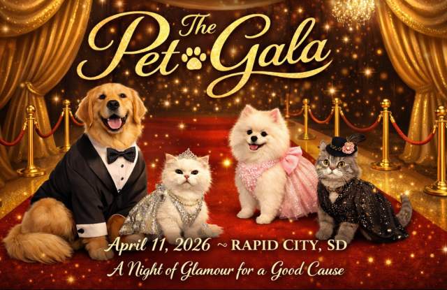 Pet Gala