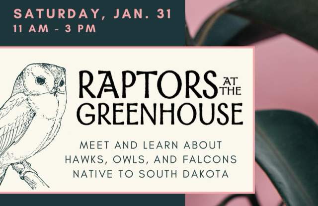 Raptors at the Greenhouse