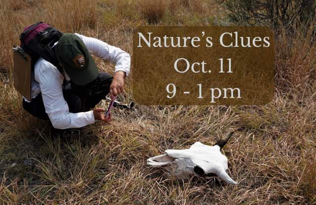 Nature's Clues: A workshop in Animal Tracking and Signs