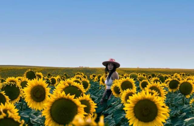 Wall Badlands Area Chamber of Commerce