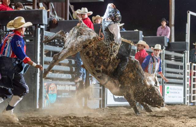 Wall Celebration Pro Rodeo