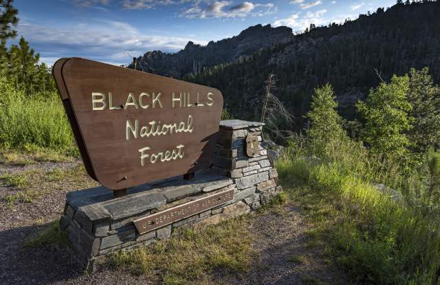 Black Hills National Forest