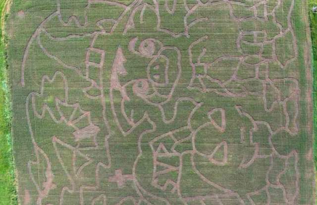 Spearfish Corn Maze & Pumpkin Patch