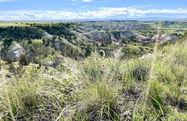 National Grasslands Visitor Center