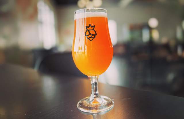 Cohort Craft Brewery Black Hills