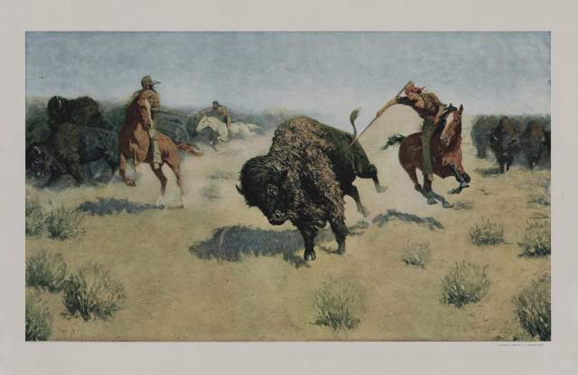 These Noble Brutes- Exhibition Featuring the American Bison