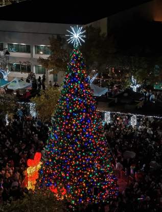 Holiday Experiences in Las Cruces