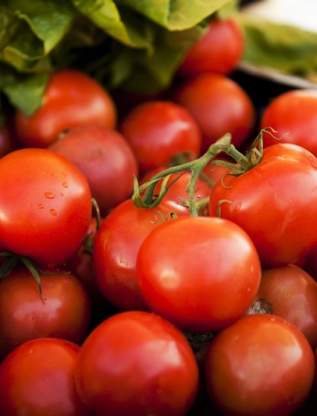 Farmers Market Produce Tomatoes