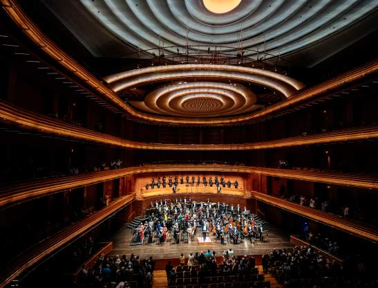 Orlando Philharmonic Orchestra (OPO) promotional images