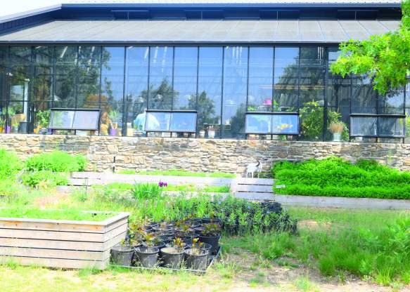 Lavender farm greenhouse