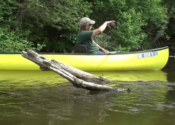 Great Getaways: Paddling the AuSable River (Grayling MI)
