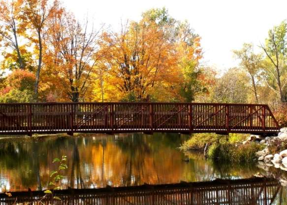 Fall photo by David Schmidt