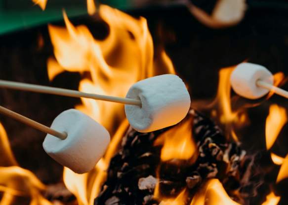 Marshmallows over campfire