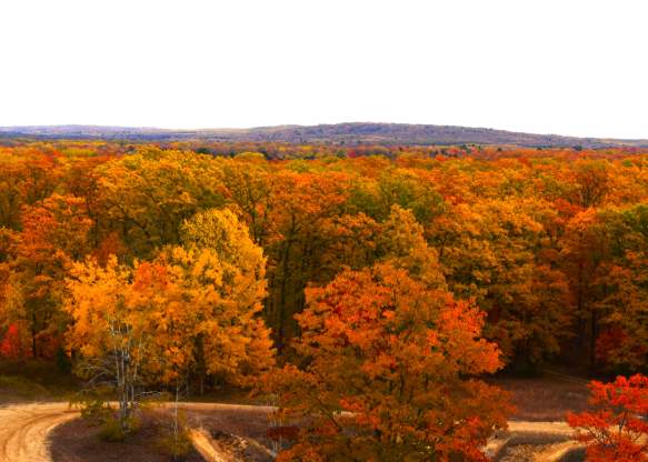 Fall View