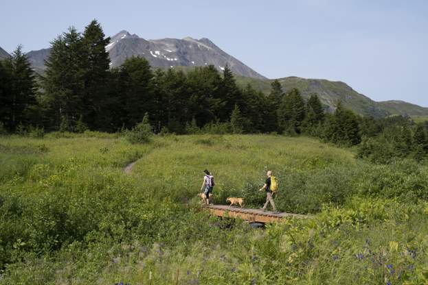 A couple walks along a bridge with their dogs on the Lost Lake Trail in Seward, Alaska.